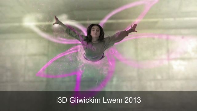Gliwicki Lew 2013